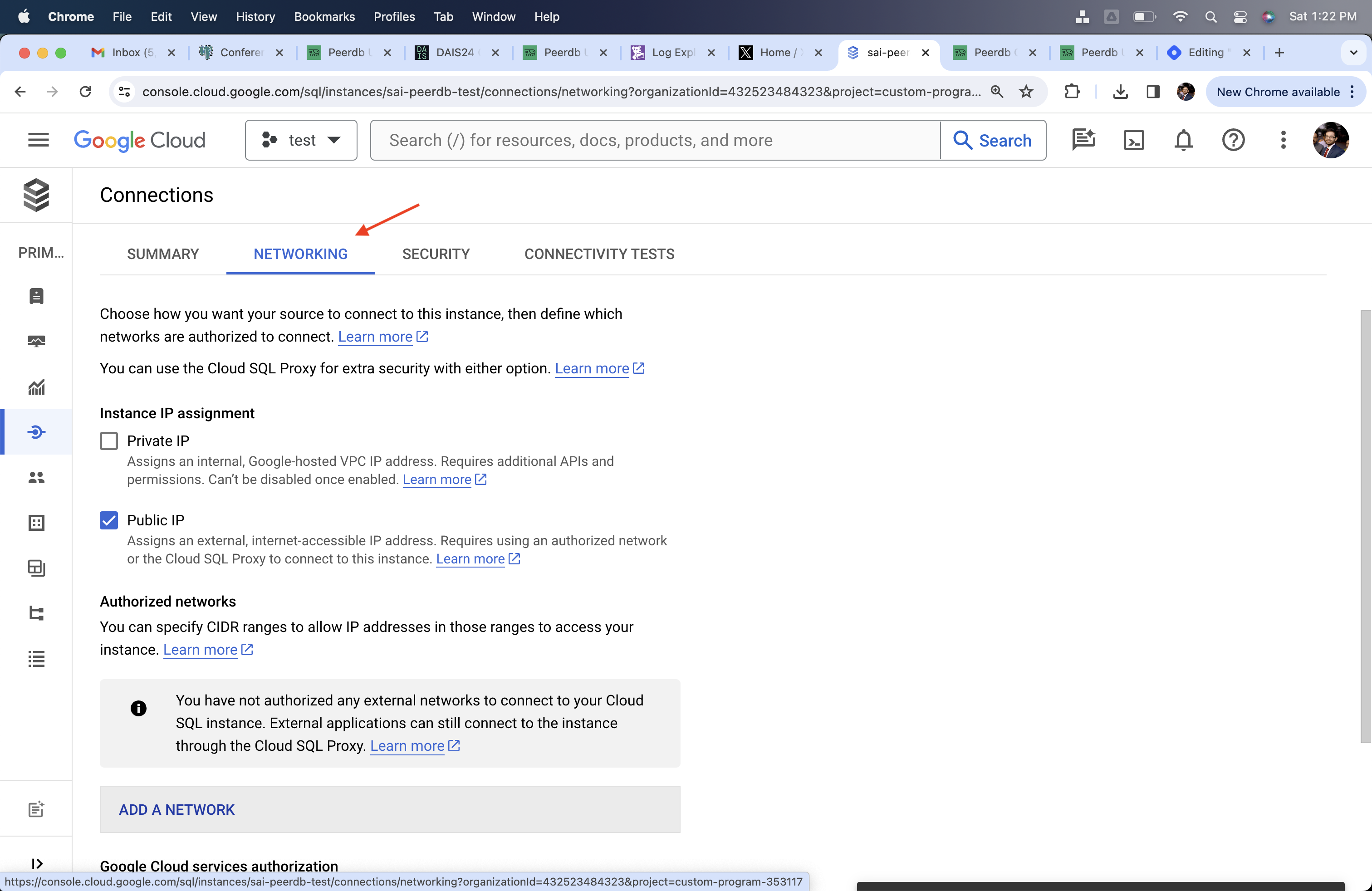 Подраздел «Networking» в Cloud SQL